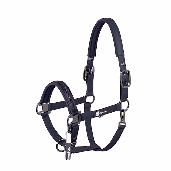 Eskadron Jewel grimma navy full