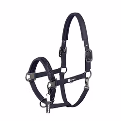 Eskadron Jewel grimma navy full