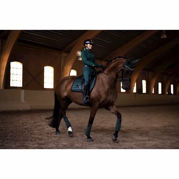Stockholm Equestrian Performance sycamore green dressyr/hopp full
