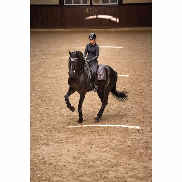 Stockholm Equestrian Glimmer purple dressyr full