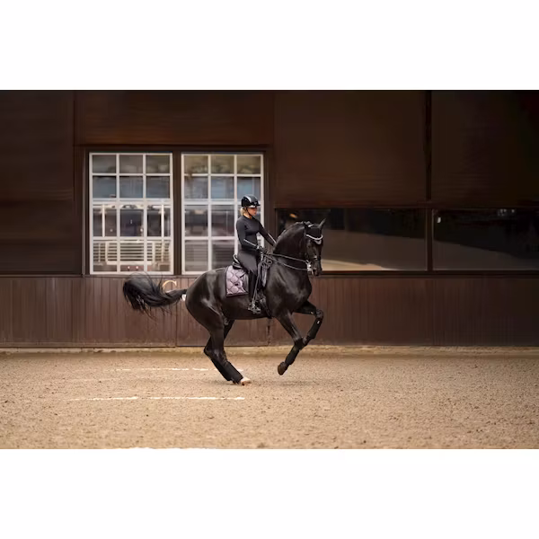 Stockholm Equestrian Glimmer purple dressyr full