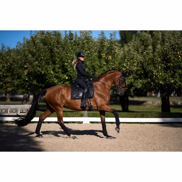 Stockholm Equestrian Glimmer black dressyr full