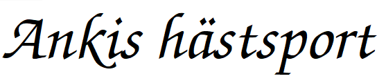 Ankis hästsport