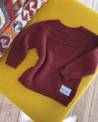 Petit knit - Ankers trøye junior