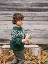 Tema 74 Marius Jul