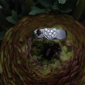 Pavé - Diamantring