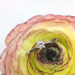 Precious One - solitär 0.20 ct