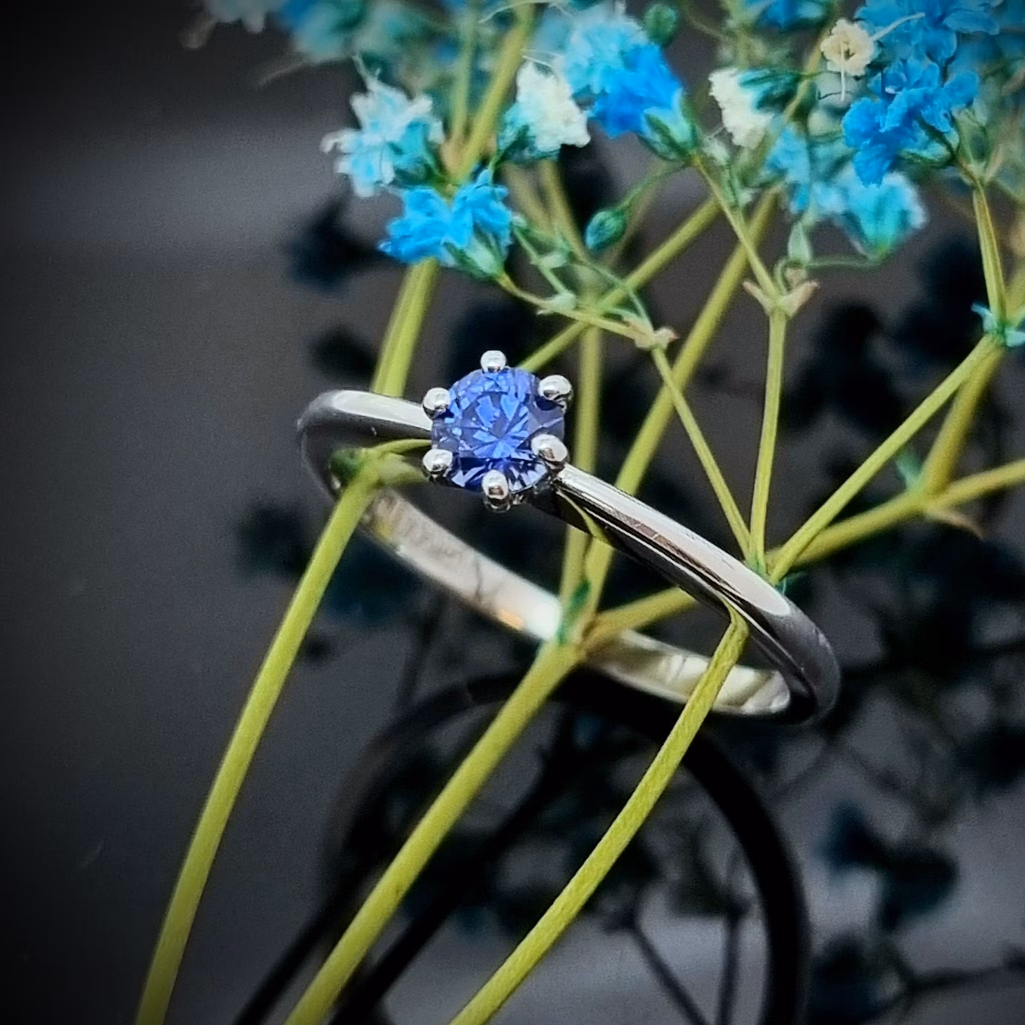 Precious One Safir - solitär