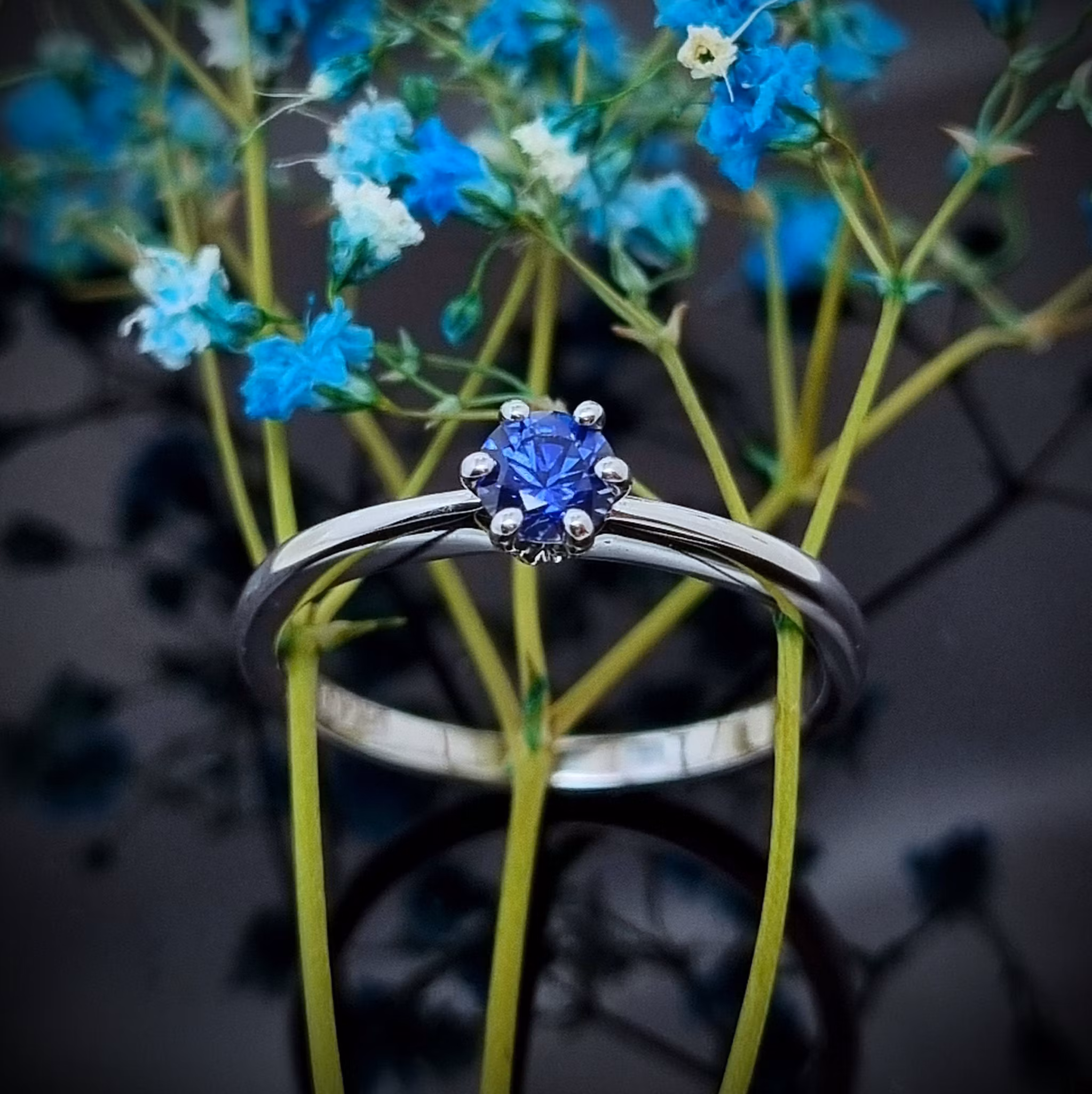 Precious One Safir - solitär