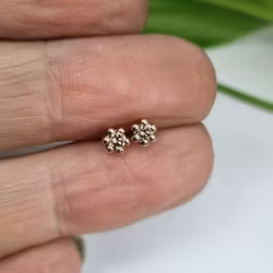 Precious six - coffee briljantörhängen 0,10 ct