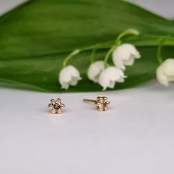 Precious six - coffee briljantörhängen 0,10 ct