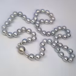Pärlcollier - Silverblå Akoya 6,5-7 mm