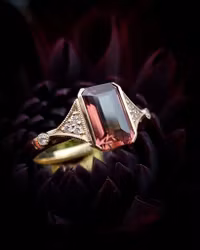 Rusty Rose - Safirring i 18K guld