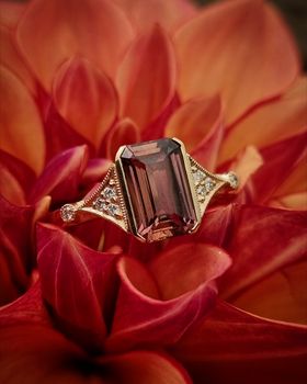 Rusty Rose - Safirring i 18K guld