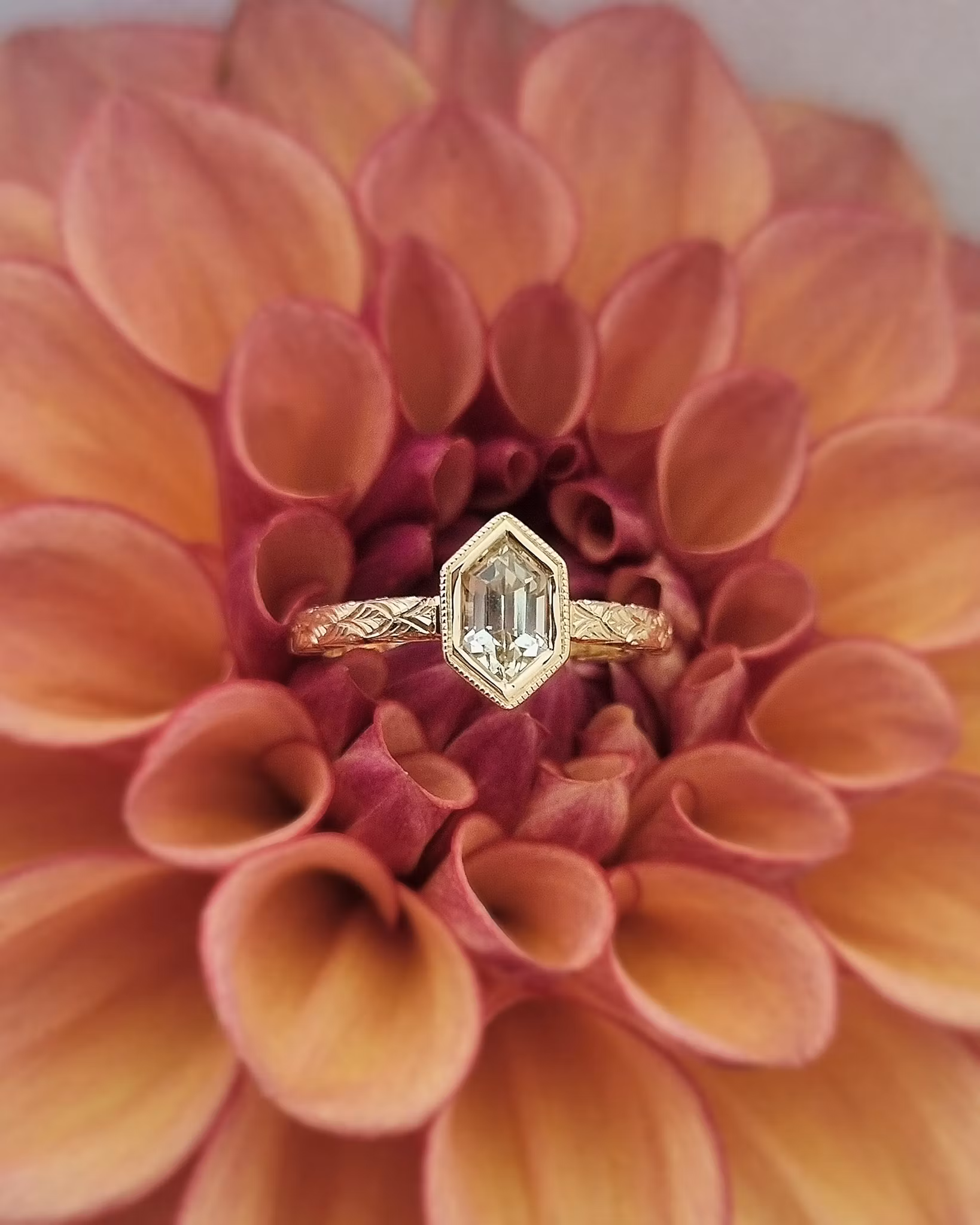 Fawn 'Art Deco' - Solitär i 18K med champagnesafir