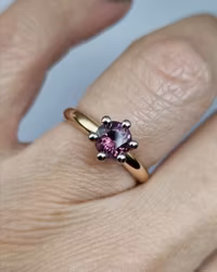 Precious Six med Safir - tvåfärgad ring i 18K guld