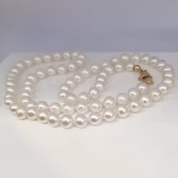 Klassiska vita sötvattenspärlor med lås i 18K