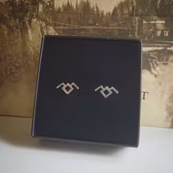 The owls are not what they seem ♡ Twin Peaks - örhängen i silver