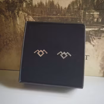 The owls are not what they seem ♡ Twin Peaks - örhängen i silver