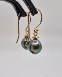 Tahitipärlor med Gullviva - örhängen i 18K guld