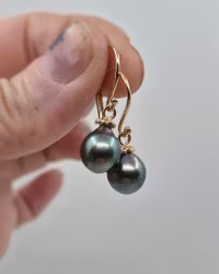 Tahitipärlor med Gullviva - örhängen i 18K guld