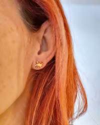 Sköldpadda studs - örhängen i 18K guld