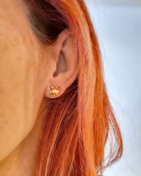 Sköldpadda studs - örhängen i 18K guld