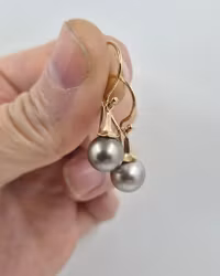 Fijipärlor med Änglatrumpet - örhängen i guld