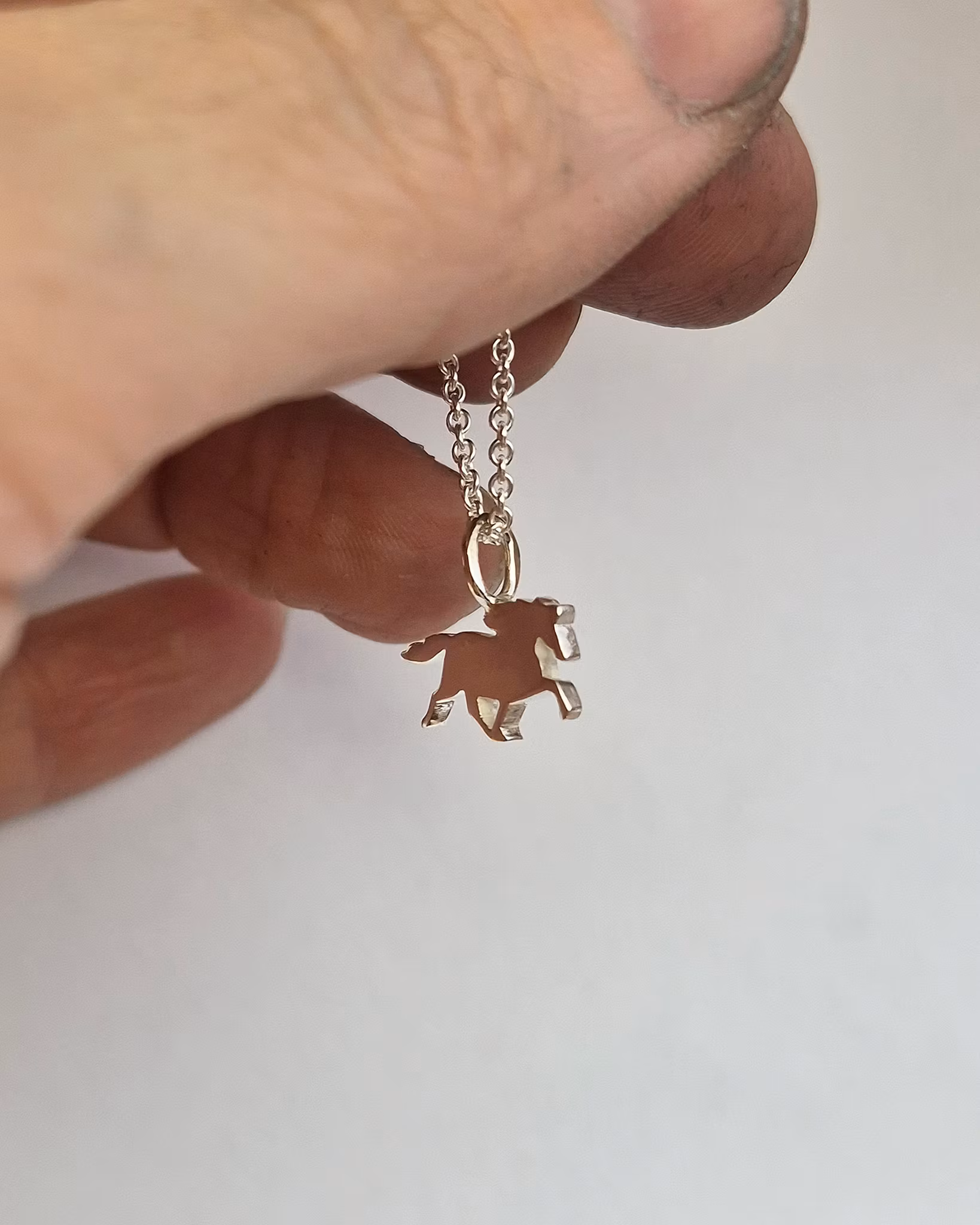 Islandshäst silverhänge