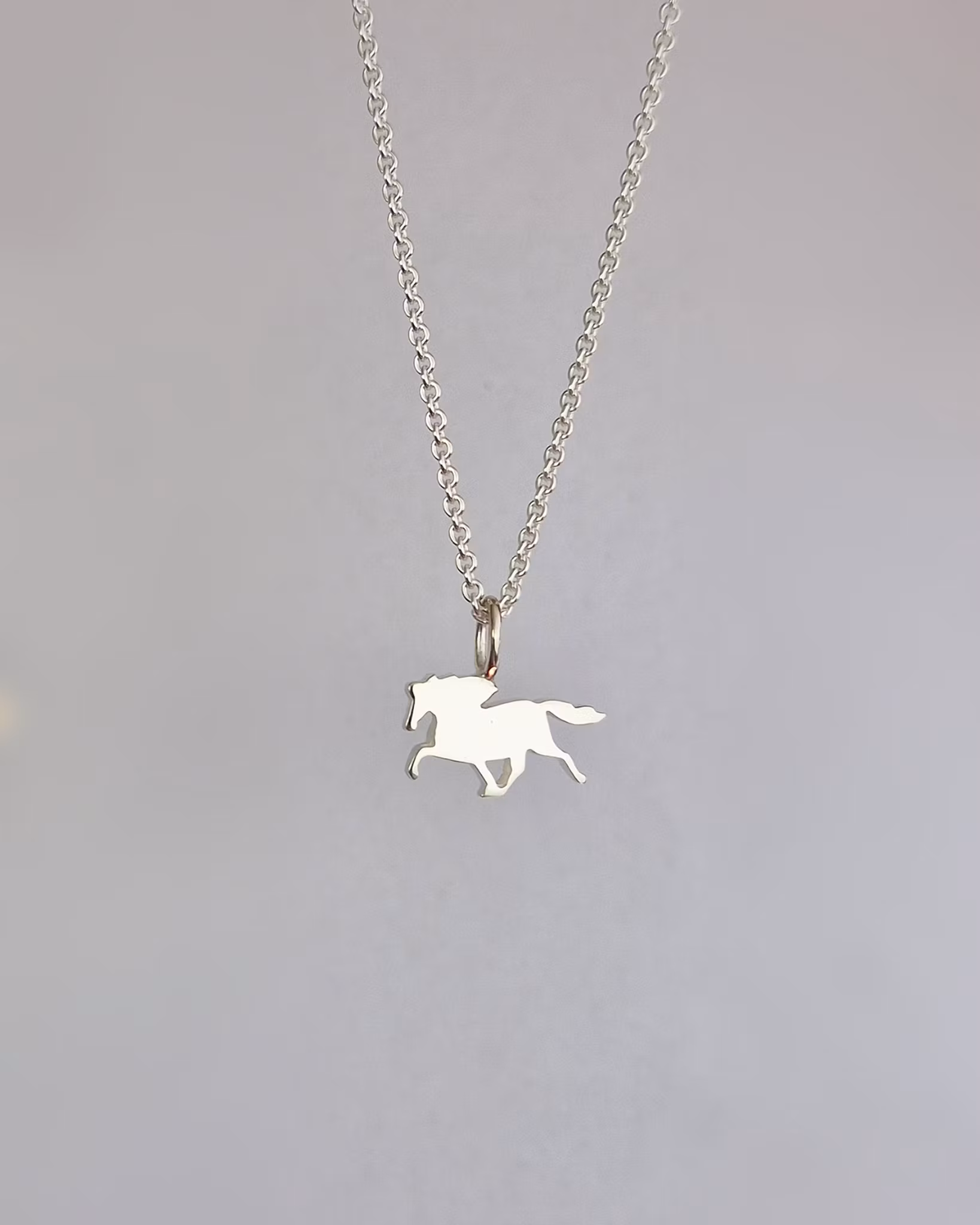 Islandshäst silverhänge