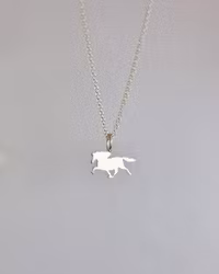 Islandshäst silverhänge