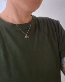 Islandshäst silverhänge