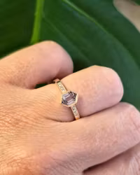 Silver Sage - Safir & Briljantring i 18K guld
