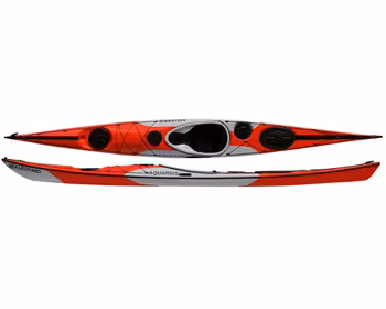 Aquarius Sea Leopard