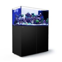 Red Sea Reefer Peninsula G2+ (ATO+ ingår)