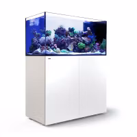 Red Sea Reefer Peninsula G2+ (ATO+ ingår)