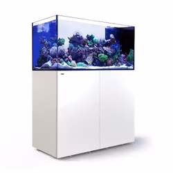 Red Sea Reefer Peninsula G2+ (ATO+ ingår)