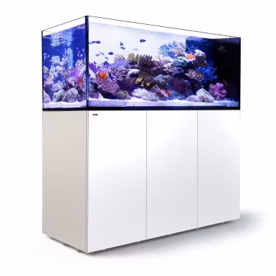 Red Sea Reefer Peninsula G2+ (ATO+ ingår)