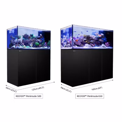 Red Sea Reefer Peninsula G2+ (ATO+ ingår)