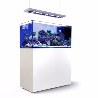 Red Sea Reefer Peninsula med belysning Hydra 32 HD+vajerset