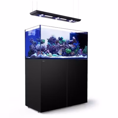 Red Sea Reefer Peninsula med belysning Hydra 32 HD+vajerset