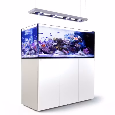 Red Sea Reefer Peninsula med belysning Hydra 32 HD+vajerset