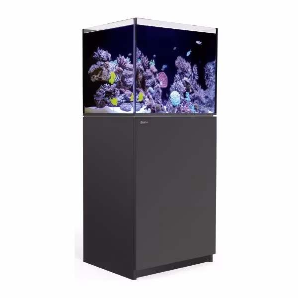 Red Sea Reefer V3