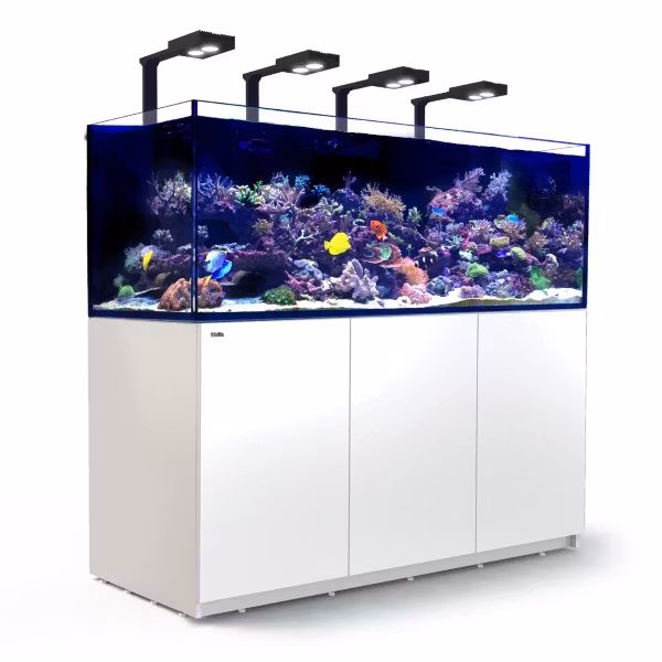 Red Sea Reefer XXL med belysning Hydra 32 HD som på bild