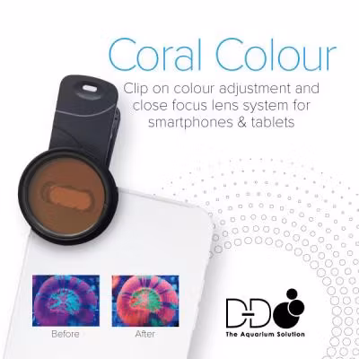 Coral Colour Lens XL