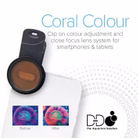 Coral Colour Lens XL