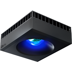 Reef LED