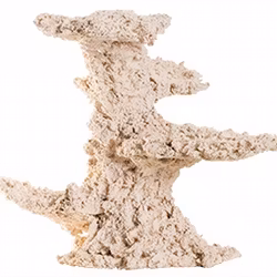 ARKA Biotechnologie Column Nature