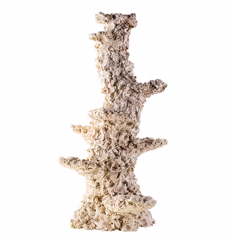 ARKA Biotechnologie Column Slim