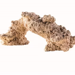 ARKA Biotechnologie Arch